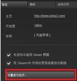 dota2国服启动项没用