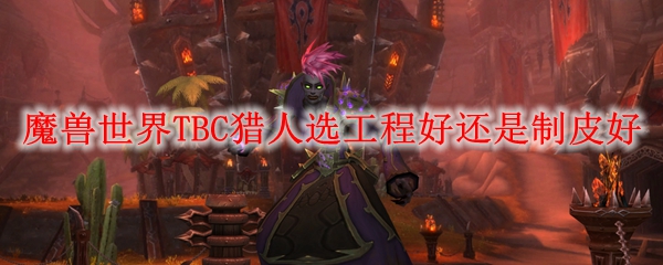 魔兽世界TBC猎人选工程好还是制皮好
