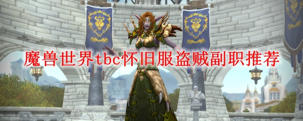 魔兽世界tbc怀旧服盗贼副职推荐