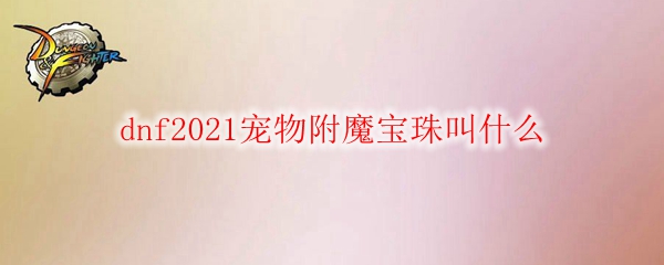 dnf2021宠物附魔宝珠叫什么