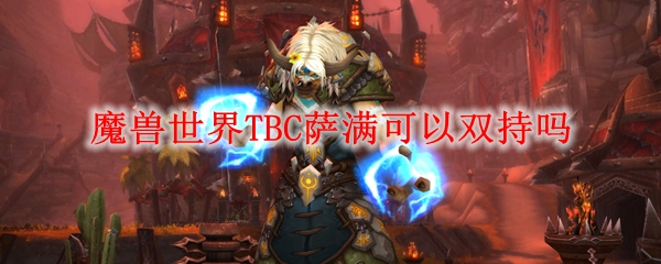 魔兽世界TBC萨满可以双持吗