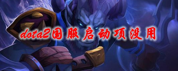 dota2国服启动项没用