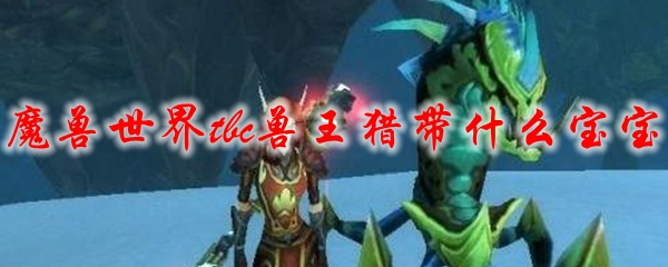魔兽世界tbc兽王猎带什么宝宝
