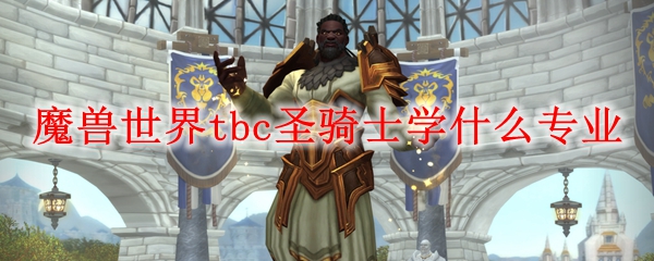魔兽世界tbc圣骑士学什么专业