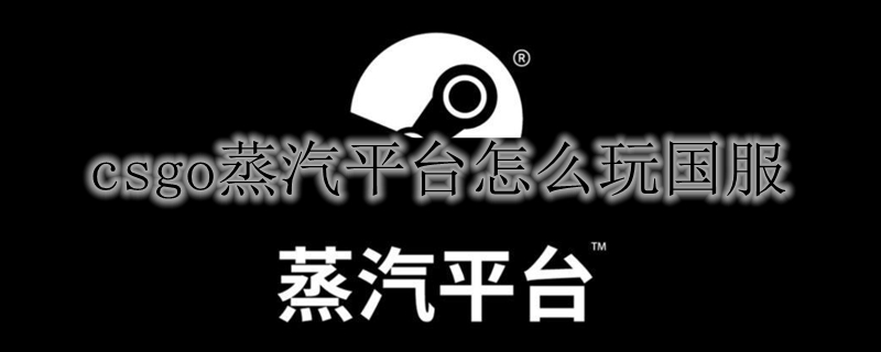 csgo蒸汽平台怎么玩国服