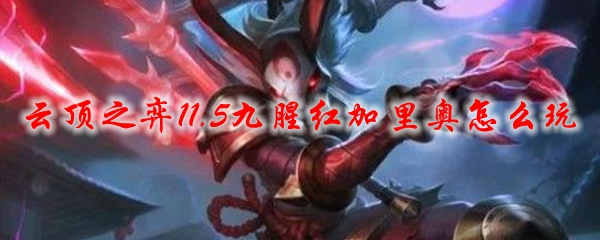 云顶之弈11.5九腥红加里奥怎么玩