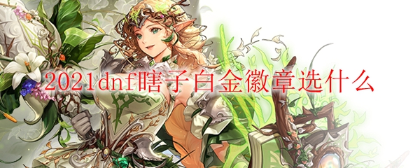 2021dnf瞎子白金徽章选什么
