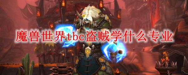 魔兽世界tbc盗贼学什么专业