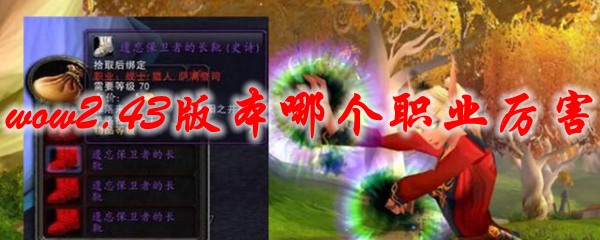 魔兽世界2.43版本哪个职业厉害