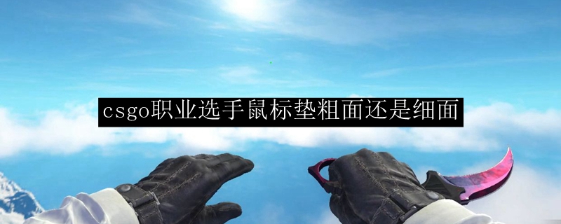 csgo职业选手鼠标垫粗面还是细面