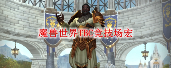 魔兽世界TBC竞技场宏