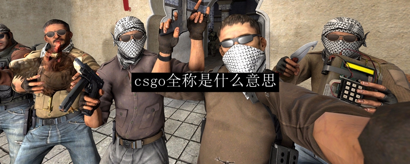 csgo全称是什么意思