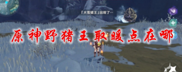 原神野猪王取暖点在哪