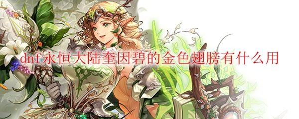 dnf永恒大陆奎因碧的金色翅膀有什么用