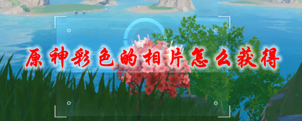 原神彩色的相片怎么获得