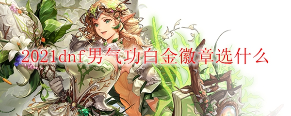 2021dnf男气功白金徽章选什么