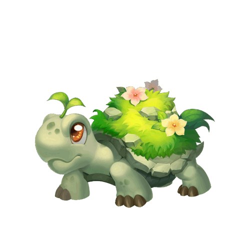 《梦幻西游》草龟在哪个地图