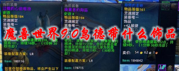 魔兽世界9.0鸟德带什么饰品