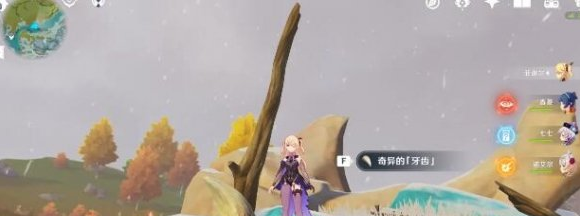 原神奇异的牙齿四个位置