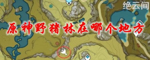 原神野猪林在哪个地方