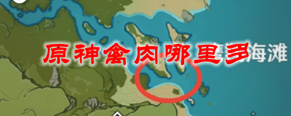 原神禽肉哪里多