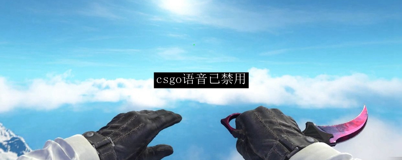 csgo语音已禁用