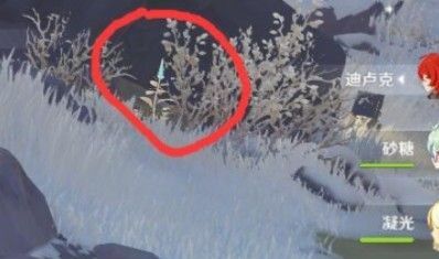 原神雪山小狐狸在哪里