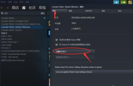 csgo国服启动项代码