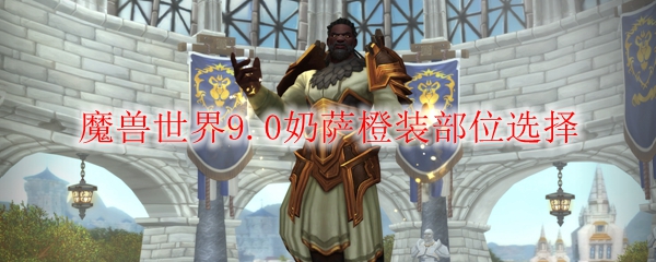 魔兽世界9.0奶萨橙装部位选择