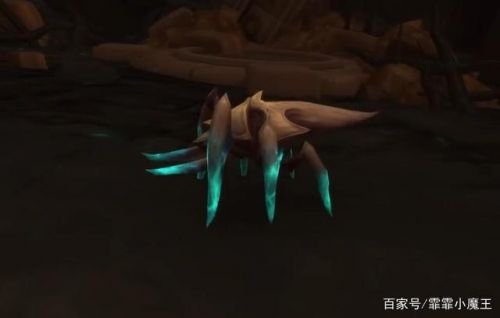 魔兽世界噬渊甲虫哪里刷