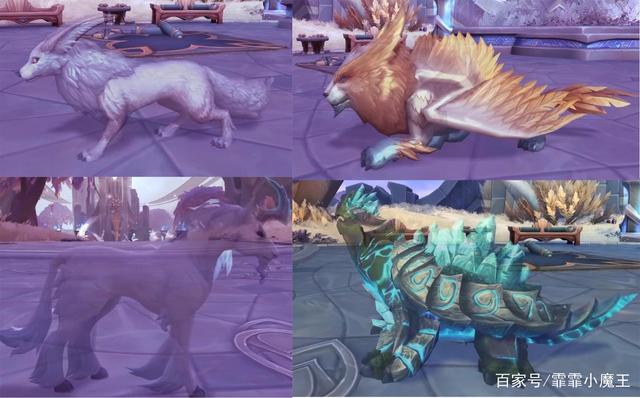 魔兽世界9.0兽王猎带什么宠物