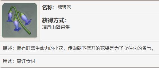 原神琉璃袋在哪里买