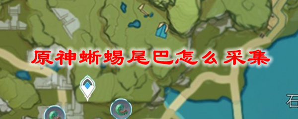原神蜥蜴尾巴怎么采集