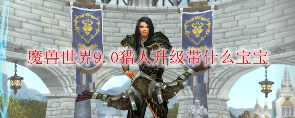 魔兽世界9.0猎人升级带什么宝宝
