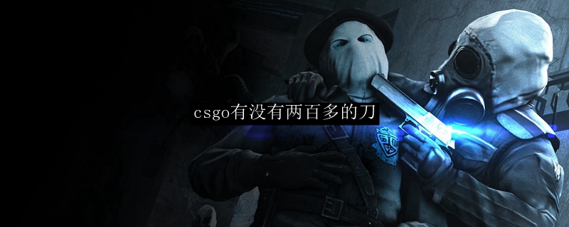 csgo有没有两百多的刀
