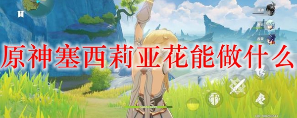 原神塞西莉亚花能做什么