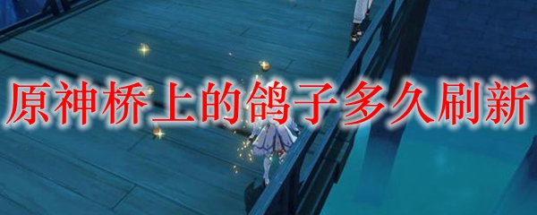 原神桥上的鸽子多久刷新