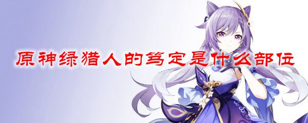 原神绿猎人的笃定是什么部位