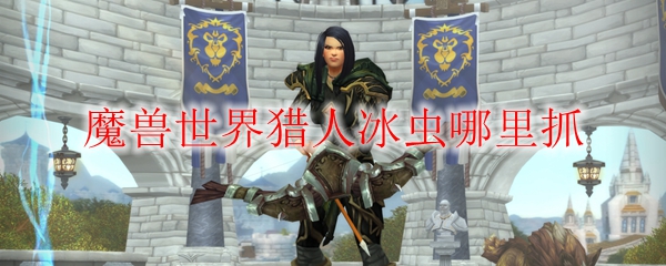魔兽世界猎人冰虫哪里抓
