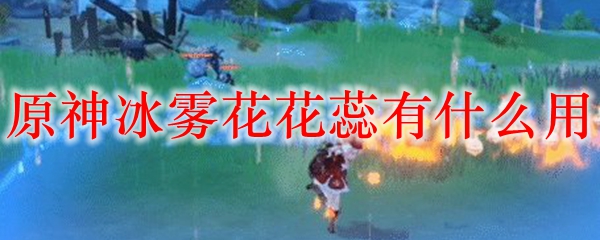 原神冰雾花花蕊有什么用
