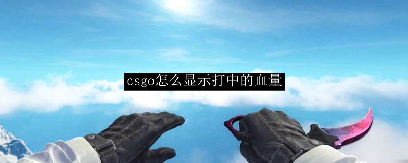csgo怎么显示打中的血量