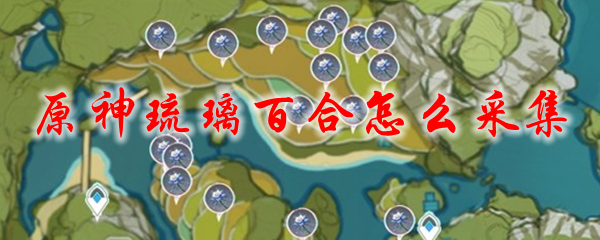 原神琉璃百合怎么采集