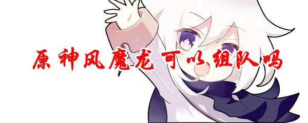 原神风魔龙可以组队吗