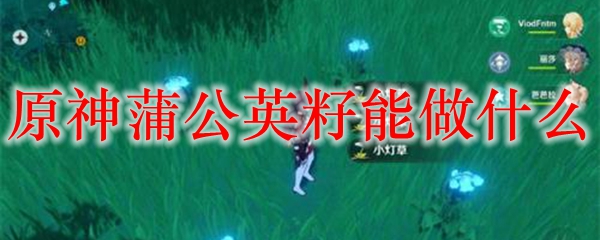 原神蒲公英籽能做什么
