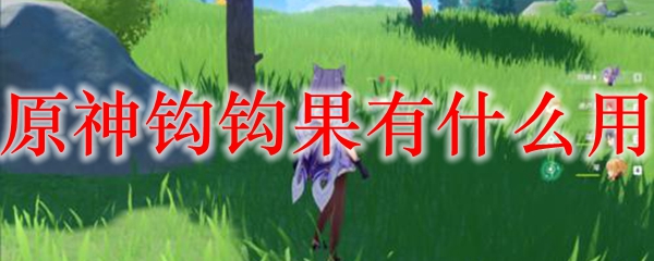 原神钩钩果有什么用