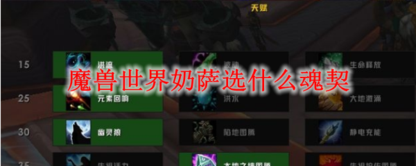 魔兽世界奶萨选什么魂契