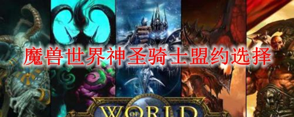 魔兽世界神圣骑士盟约选择