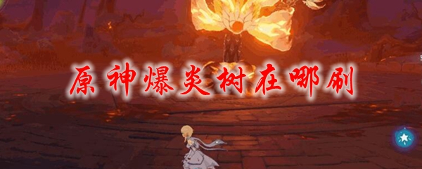 原神爆炎树在哪刷