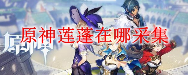 原神莲蓬在哪采集