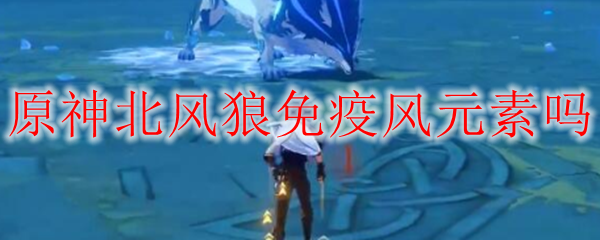 原神北风狼用风元素角色能不能打